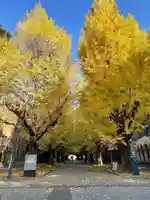 靖國神社の景色