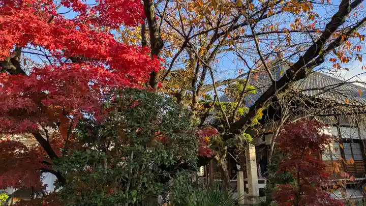 墨染寺(桜寺)(京都府)
