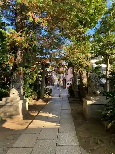 奥澤神社の鳥居