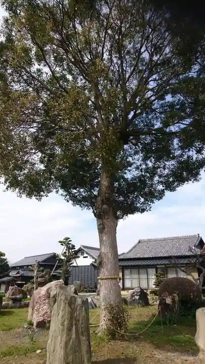 國建神社の庭園
