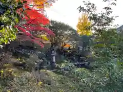 霊鑑寺門跡(京都府)