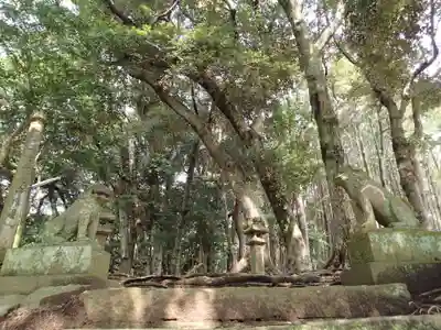 濱殿神社の自然