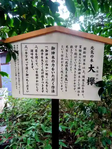 鎮守氷川神社(埼玉県)