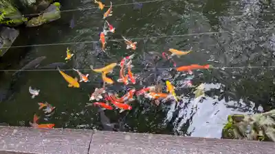 建部大社(滋賀県)