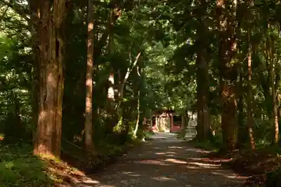 戸隠神社奥社(長野県)