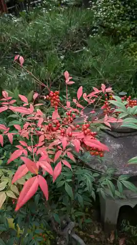 宝蔵寺(京都府)