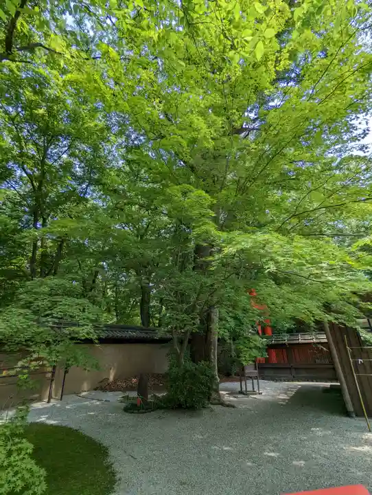 河合神社(鴨川合坐小社宅神社)(京都府)