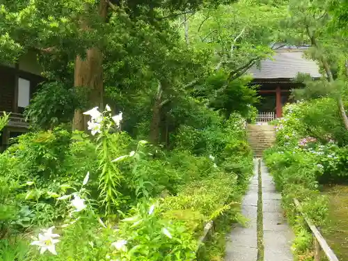 妙法寺の庭園