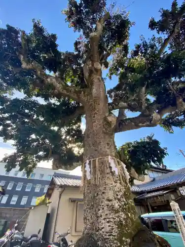 金札宮(京都府)