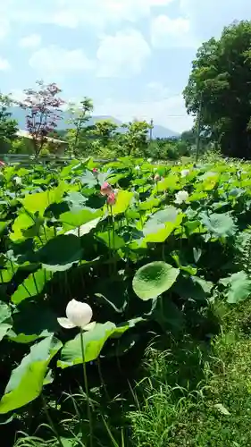 医王寺の庭園