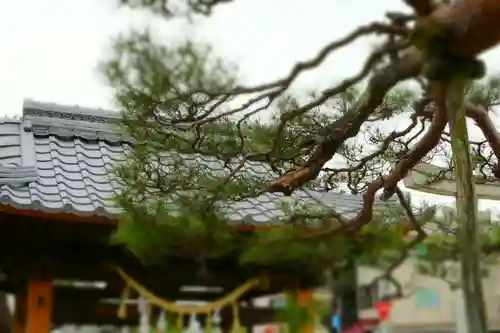 豊国神社の自然