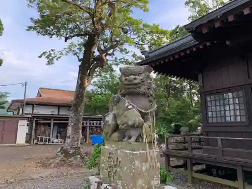 吉保八幡神社の狛犬