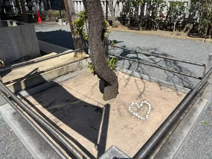 柏神社(千葉県)