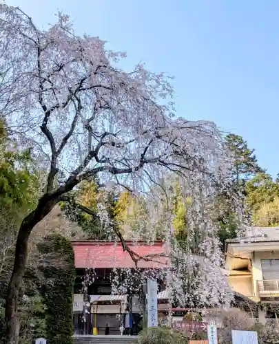 宝登山神社(埼玉県)