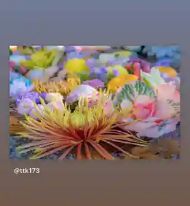 滑川神社 - 仕事と子どもの守り神の手水舎(2021年01月16日(土) 23時09分21秒投稿)