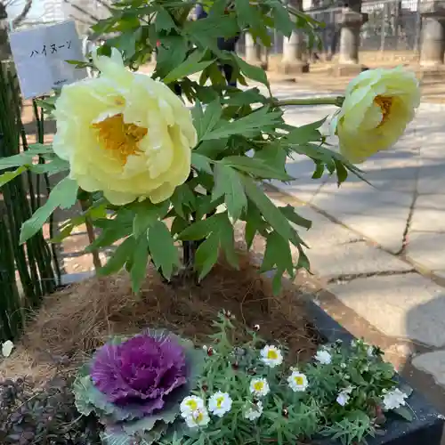 上野東照宮の自然