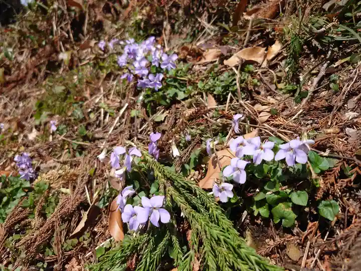 眞弓神社の自然