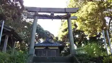 井成神社の鳥居