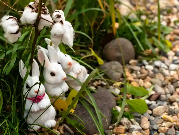 三輪神社(愛知県)