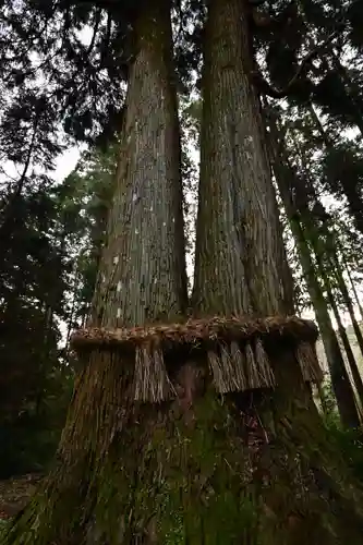 中畑神社(宮崎県)