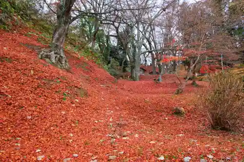 三春大神宮の自然