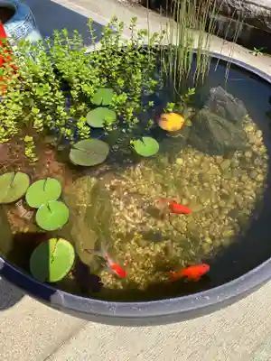 八幡宮(茨城県)