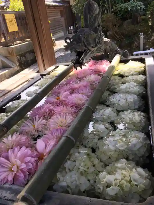 柳谷観音 楊谷寺の手水舎