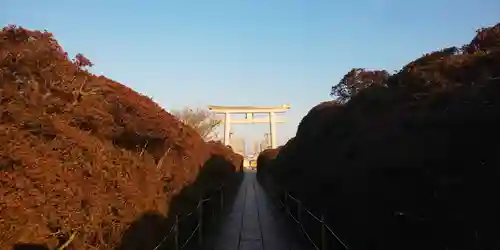 長岡天満宮の鳥居