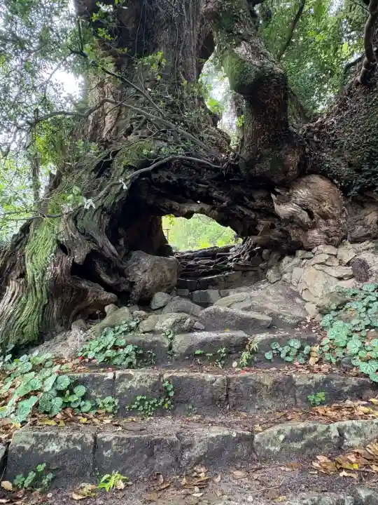 大山祇神社奥の院 生樹の御門の山門・神門