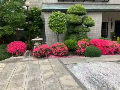 十念寺の{uncategorized: "未分類", other: "その他", undefined: "問題あり", building: "その他建物", grave: "お墓", sacred_gate: "鳥居", guardian: "狛犬", statue: "像", buddha: "仏像", history: "歴史", nature: "自然", garden: "庭園", animal: "動物", pagoda: "塔", temizu: "手水舎", mountain_gate: "山門・神門", sanctuary: "本殿・本堂", subordinate: "末社・摂社", art: "芸術", scenery: "景色", jizo: "地蔵", ema: "絵馬", goshuin: "御朱印", omikuji: "おみくじ", items: "授与品その他", amulet: "お守り", goshuincho: "御朱印帳", eats: "食事", festival: "お祭り", votive_dance: "神楽", shichigosan: "七五三参", wedding: "結婚式", experience: "体験その他", initially: "初詣", around: "周辺", anti_infection: "感染症対策"}
