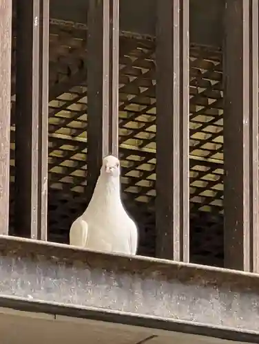靖國神社(東京都)