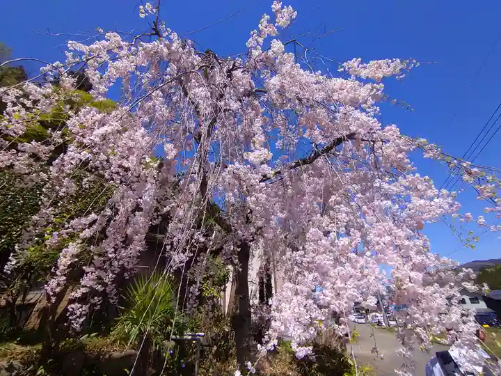 葛葉稲荷神社(埼玉県)