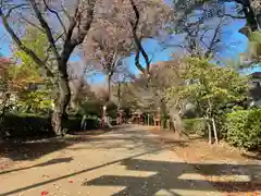 村富神社の建物その他