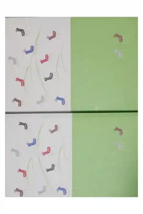 漢國神社の御朱印帳