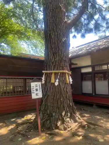 前原御嶽神社(千葉県)