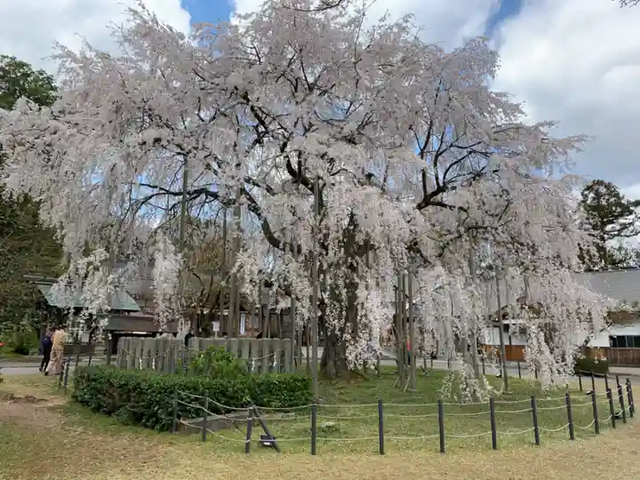 足羽神社の庭園