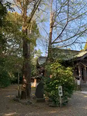 島穴神社の自然