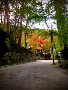 瓦屋寺の庭園(2019年11月26日(火) 21時02分15秒投稿)