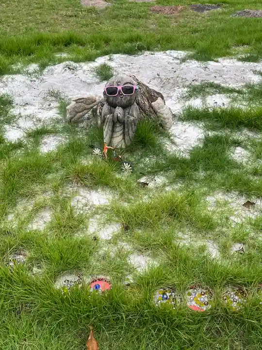 四季桜の寺 妙乗院(愛知県)