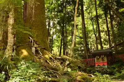 貴船神社結社(京都府)