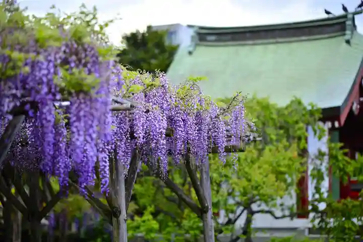 亀戸天神社(東京都)