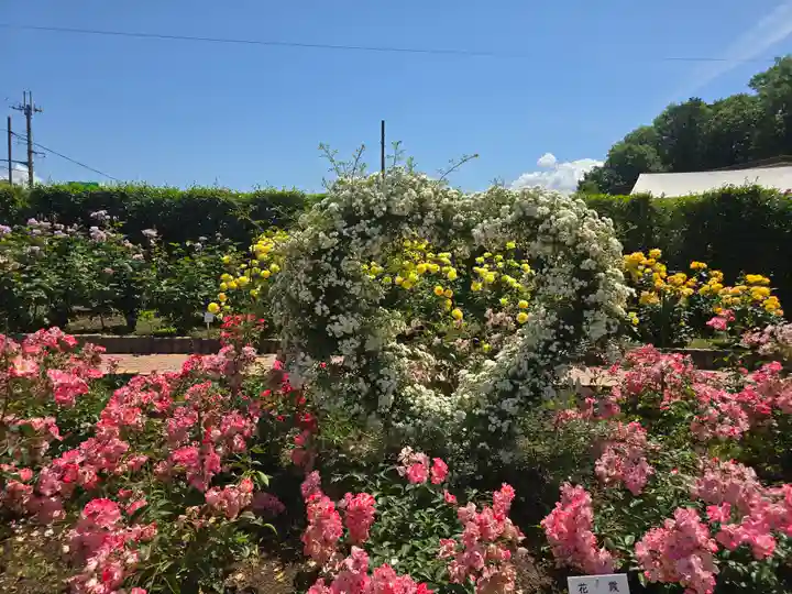 霊山寺(奈良県)
