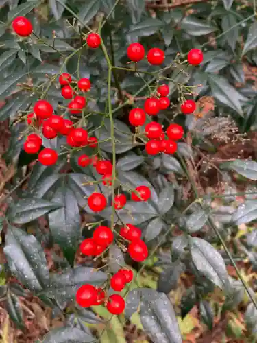 青山神社(茨城県)
