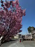 祇園山 徳城寺の{uncategorized: "未分類", other: "その他", undefined: "問題あり", building: "その他建物", grave: "お墓", sacred_gate: "鳥居", guardian: "狛犬", statue: "像", buddha: "仏像", history: "歴史", nature: "自然", garden: "庭園", animal: "動物", pagoda: "塔", temizu: "手水舎", mountain_gate: "山門・神門", sanctuary: "本殿・本堂", subordinate: "末社・摂社", art: "芸術", scenery: "景色", jizo: "地蔵", ema: "絵馬", goshuin: "御朱印", omikuji: "おみくじ", items: "授与品その他", amulet: "お守り", goshuincho: "御朱印帳", eats: "食事", festival: "お祭り", votive_dance: "神楽", shichigosan: "七五三参", wedding: "結婚式", experience: "体験その他", initially: "初詣", around: "周辺", anti_infection: "感染症対策"}