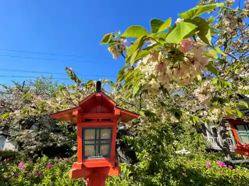 六孫王神社(京都府)