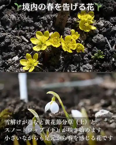 宝光寺(北海道)