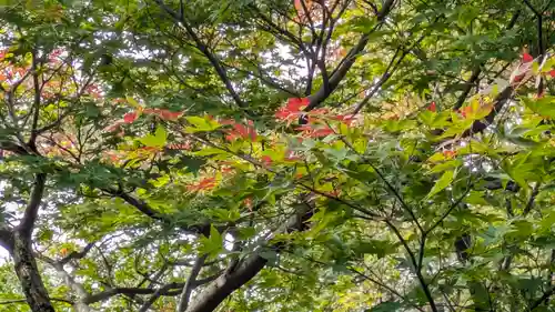 大法院(京都府)