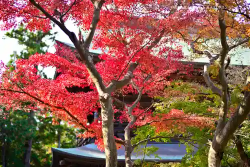円覚寺(神奈川県)