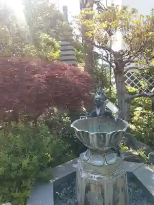 成就院の手水舎