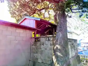 山之神社の本殿・本堂
